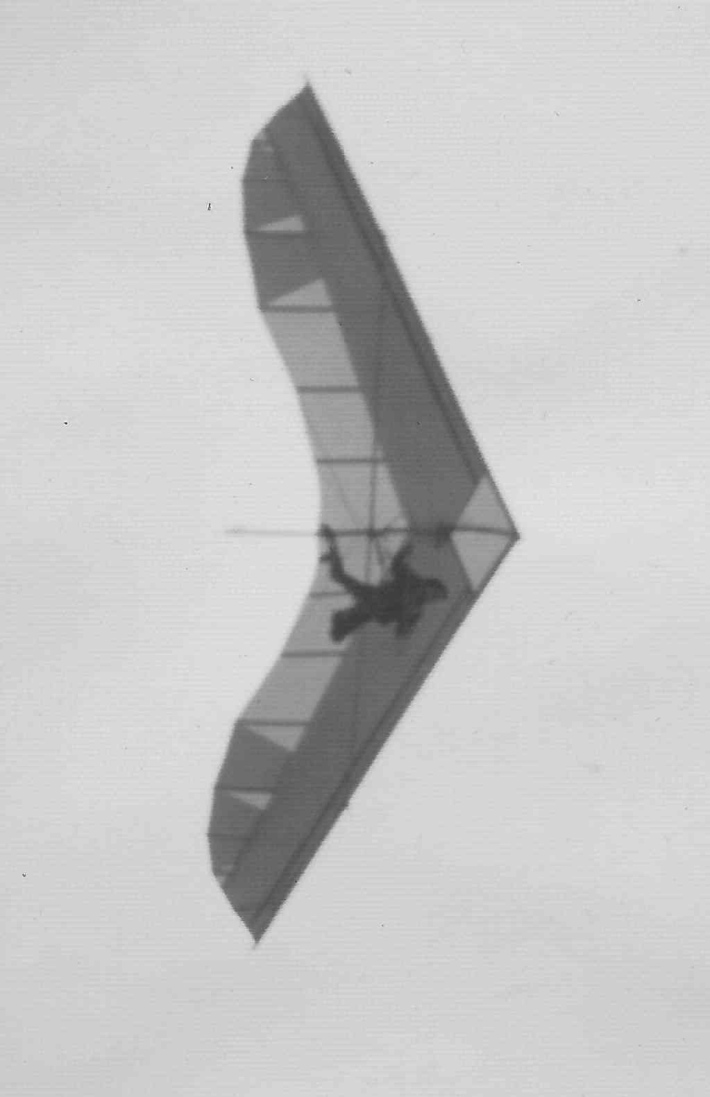 Paul Hamilton flying his Razr patented wing initial design